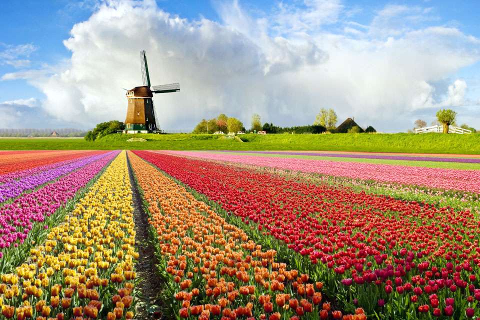 Vakantiehuisje Nederland